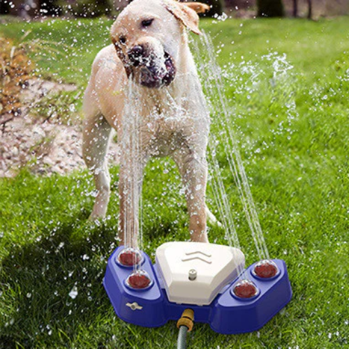 Die Must-Have Hundegadgets für Frühling & Sommer
